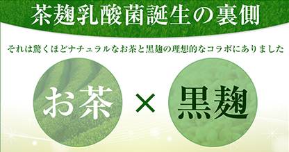 麹と乳酸菌のコラボ